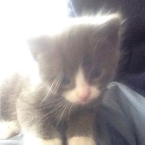 Meet your Posher, Matthew